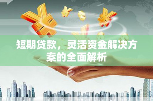 大内短期贷款，灵活资金解决方案的全面解析