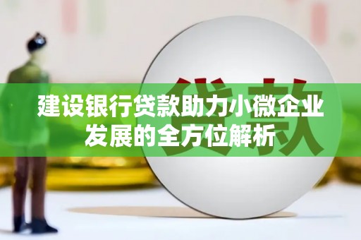 黔西建设银行贷款助力小微企业发展的全方位解析