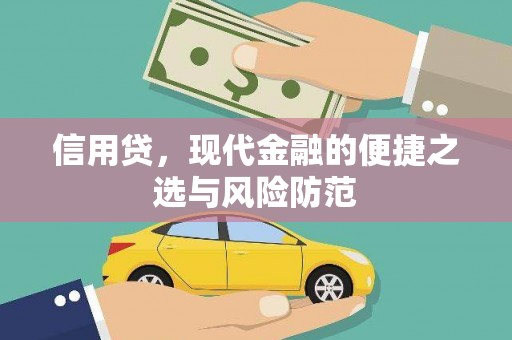 汉南信用贷，现代金融的便捷之选与风险防范