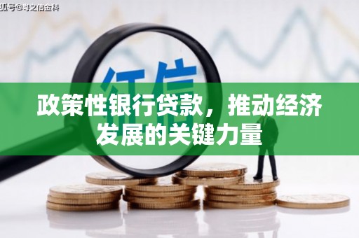 徐闻政策性银行贷款，推动经济发展的关键力量