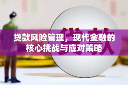 广饶贷款风险管理，现代金融的核心挑战与应对策略