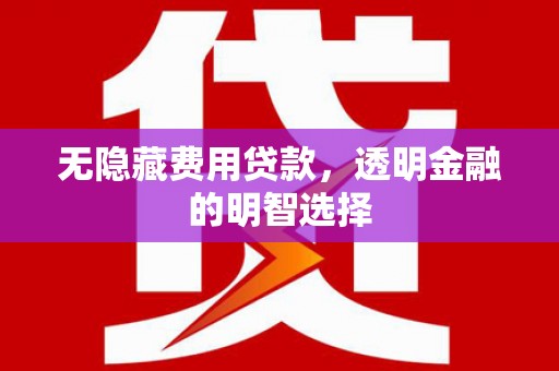 东西湖无隐藏费用贷款，透明金融的明智选择