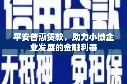 坪山新区平安普惠贷款，助力小微企业发展的金融利器