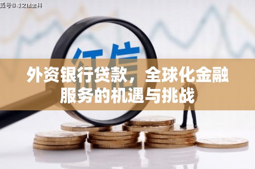 平果外资银行贷款，全球化金融服务的机遇与挑战