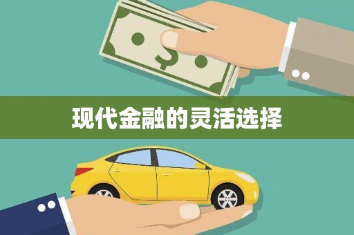 安乡现代金融的灵活选择