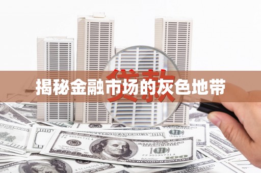 港南揭秘金融市场的灰色地带