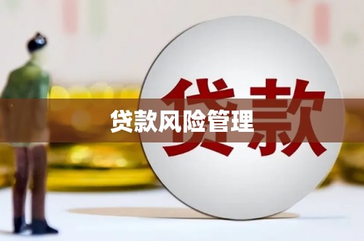 嘉黎贷款风险管理